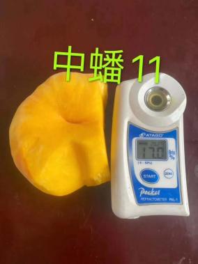 蒙陰篇 巾幗好產品，等您來團購——聚焦散裝及預包裝食品的優質銷售